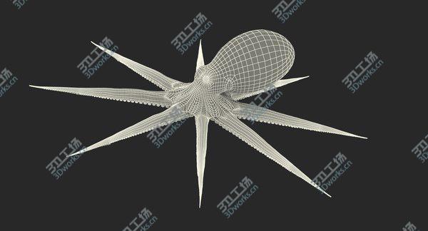 images/goods_img/20210312/Common Octopus Rigged for Cinema 4D/4.jpg